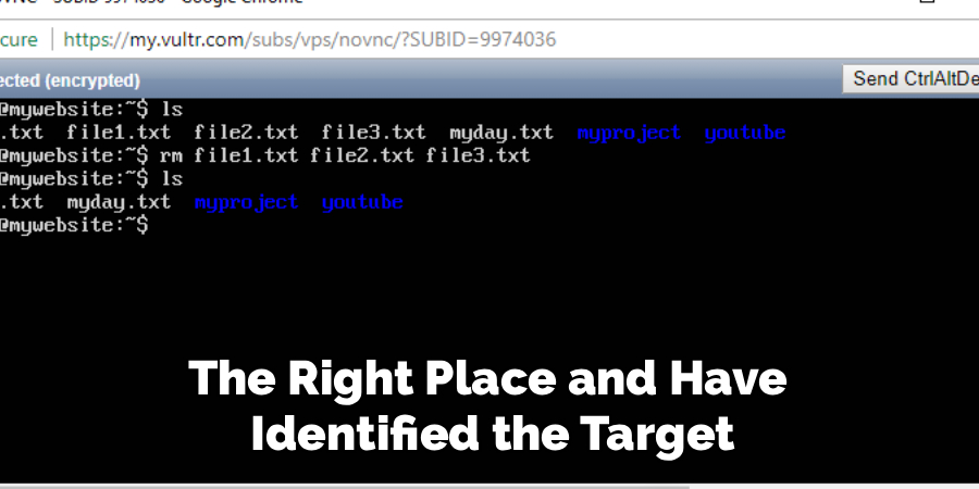 The Right Place and Have 
Identified the Target