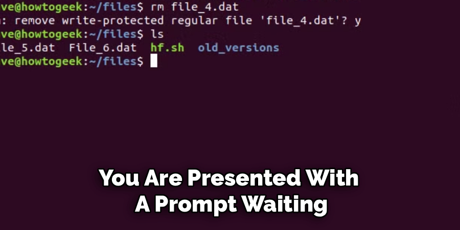 You Are Presented With 
A Prompt Waiting