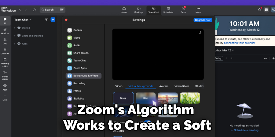 Zoom's Algorithm 
Works to Create a Soft